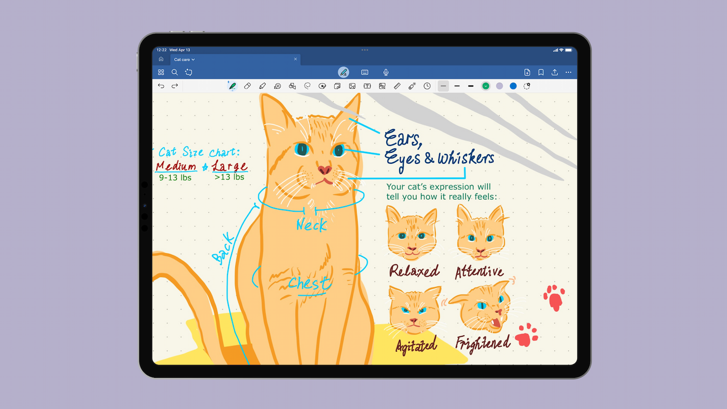 A screenshot of the app Goodnotes on iPad, showing a large illustration of a yellow kitten around smaller illustrations of the kitten's expressions, as well as handwritten notes and annotations about the image.