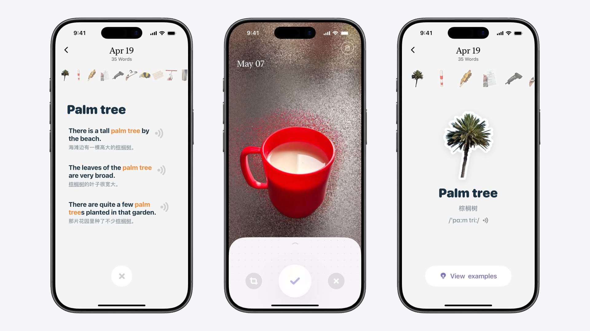 A collage of three iPhone screenshots showing the app CapWords. The first screenshot shows translations for the phrase 'palm tree.' The second shows a photo of cocoa in a red mug. The third shows a sticker, translation, and phonetic pronunciation for the phrase 'palm tree.'