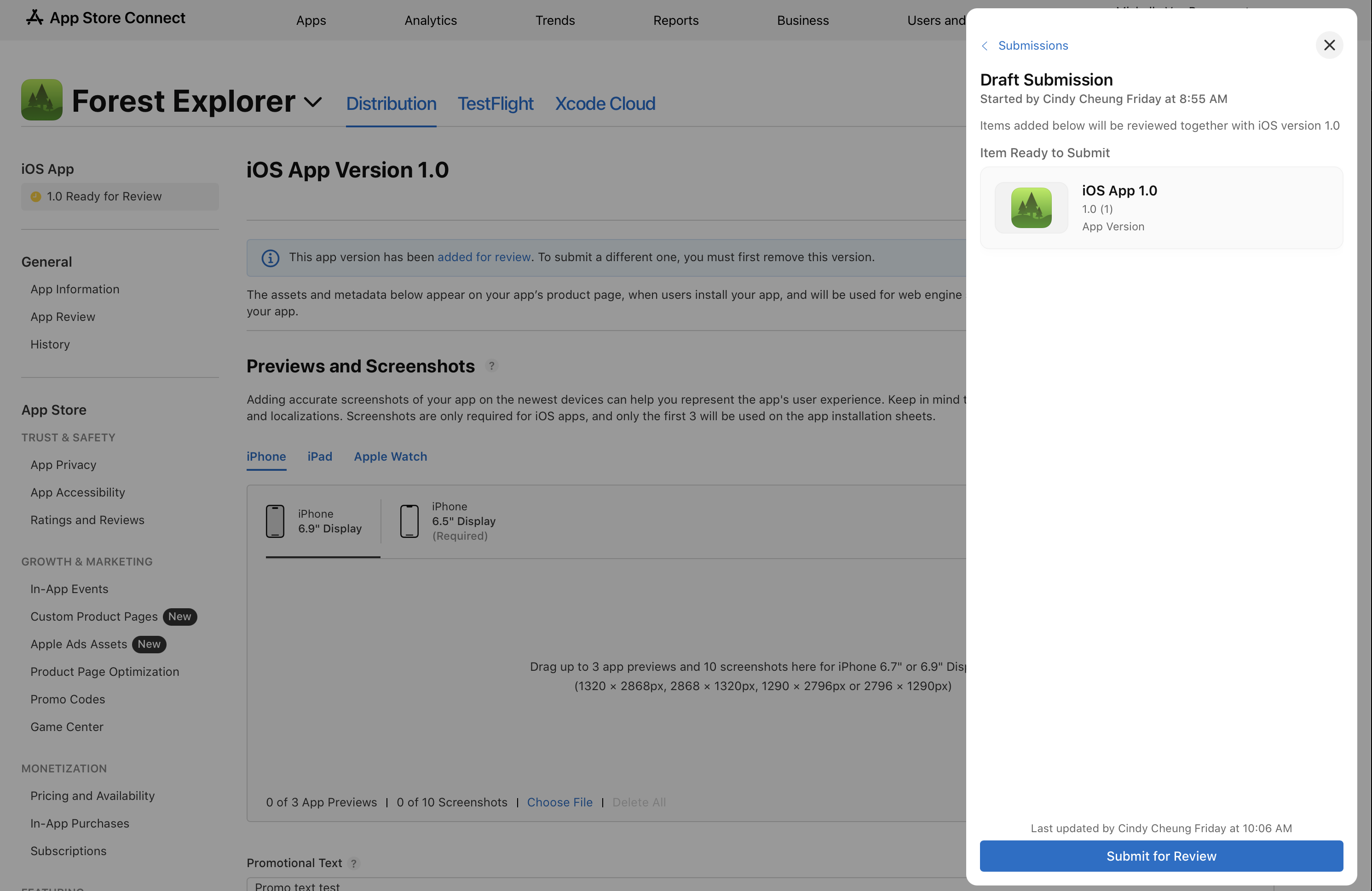 Screenshot of the 'Draft Submission' prompt on an app version detail page. Below the 'Item Ready to Submit' section, an app version is listed. The 'Submit for Review' button is at the bottom.